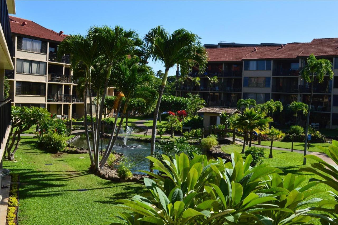 Papakea Resort G406 Lahaina Εξωτερικό φωτογραφία