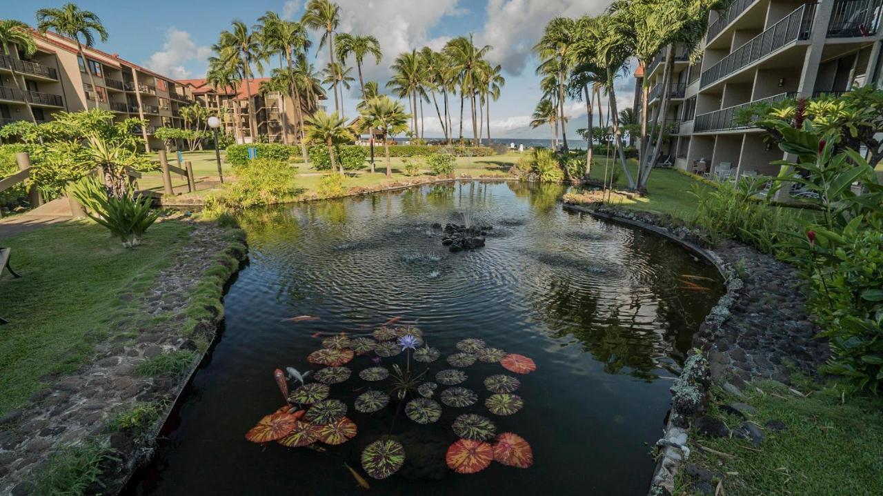 Papakea Resort G406 Lahaina Εξωτερικό φωτογραφία
